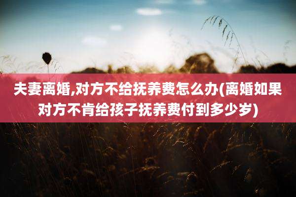 夫妻离婚,对方不给抚养费怎么办(离婚如果对方不肯给孩子抚养费付到多少岁)