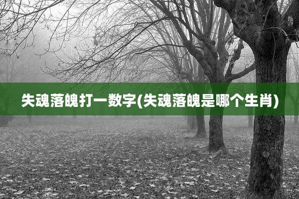 失魂落魄打一数字(失魂落魄是哪个生肖)