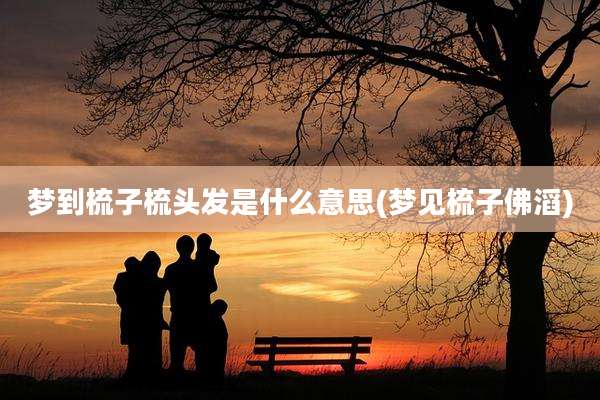 梦到梳子梳头发是什么意思(梦见梳子佛滔)