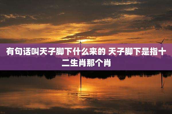 有句话叫天子脚下什么来的 天子脚下是指十二生肖那个肖