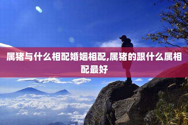 属猪与什么相配婚姻相配,属猪的跟什么属相配最好