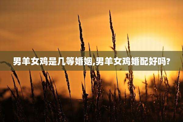 男羊女鸡是几等婚姻,男羊女鸡婚配好吗?