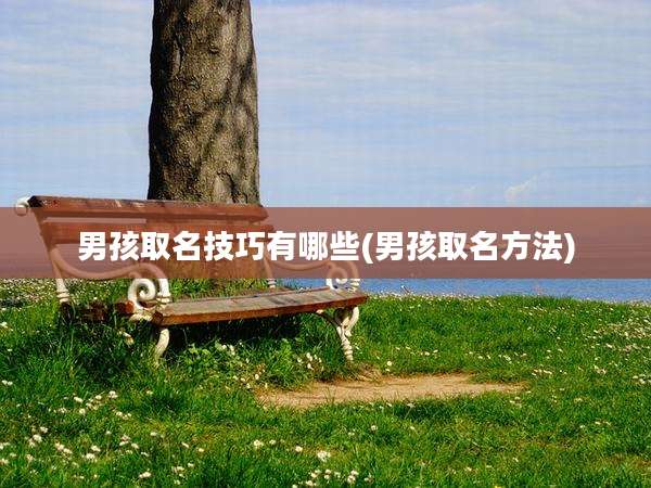 男孩取名技巧有哪些(男孩取名方法)