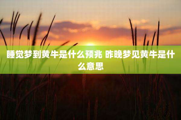 睡觉梦到黄牛是什么预兆 昨晚梦见黄牛是什么意思