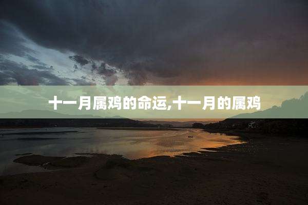 十一月属鸡的命运,十一月的属鸡