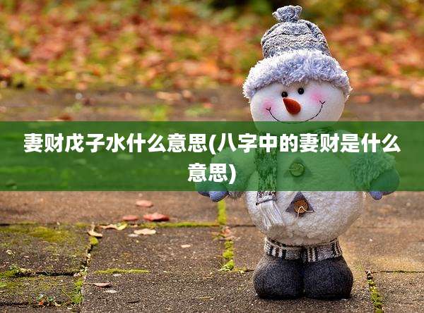 妻财戊子水什么意思(八字中的妻财是什么意思)