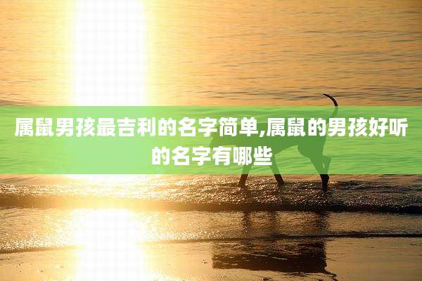 属鼠男孩最吉利的名字简单,属鼠的男孩好听的名字有哪些