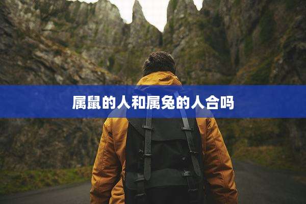 属鼠的人和属兔的人合吗