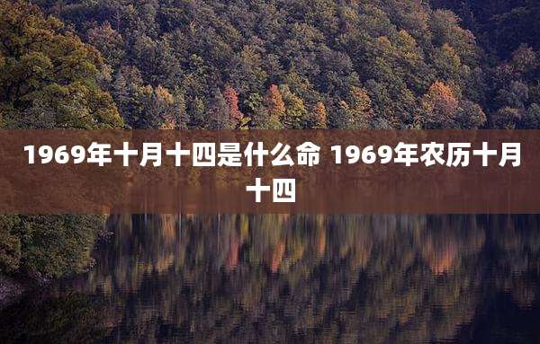 1969年十月十四是什么命 1969年农历十月十四