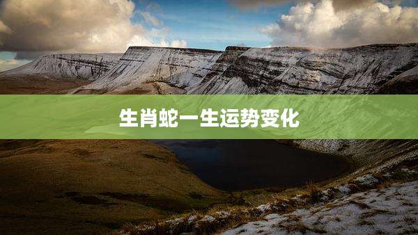 生肖蛇一生运势变化