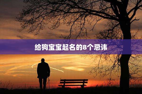 给狗宝宝起名的8个忌讳
