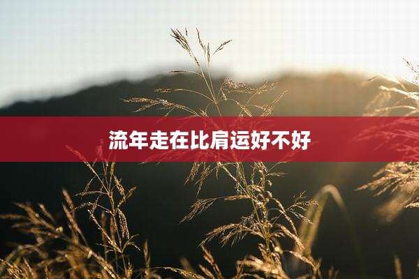 流年走在比肩运好不好