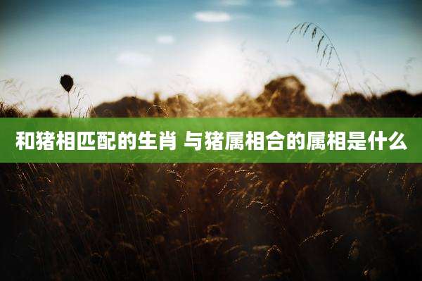 和猪相匹配的生肖 与猪属相合的属相是什么