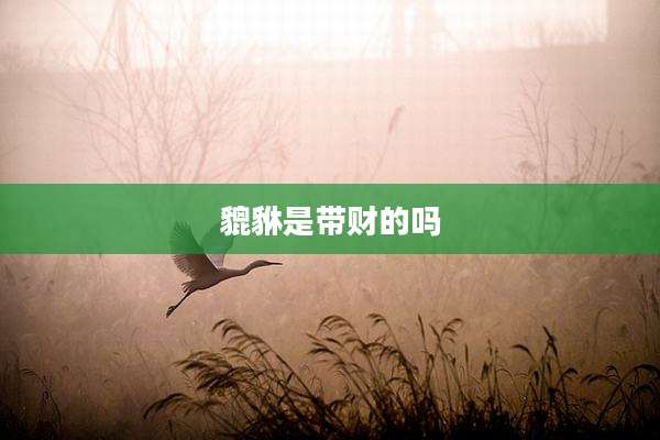 貔貅是带财的吗