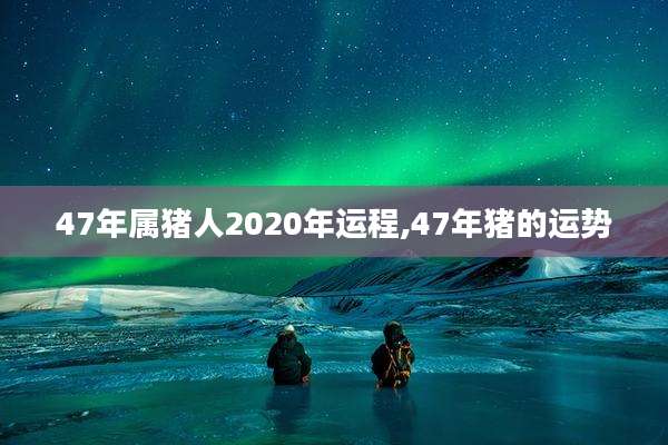 47年属猪人2020年运程,47年猪的运势