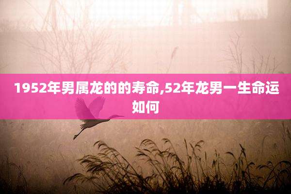 1952年男属龙的的寿命,52年龙男一生命运如何