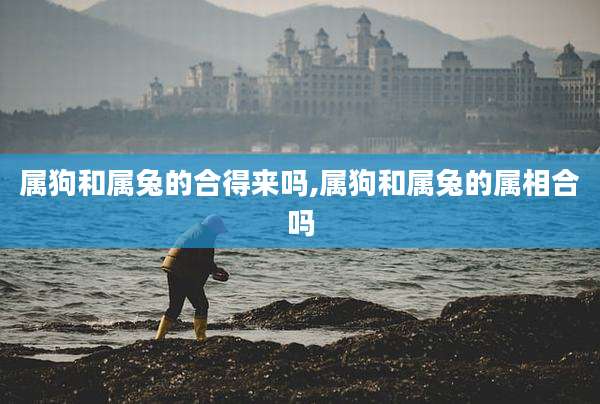 属狗和属兔的合得来吗,属狗和属兔的属相合吗