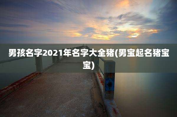 男孩名字2021年名字大全猪(男宝起名猪宝宝)