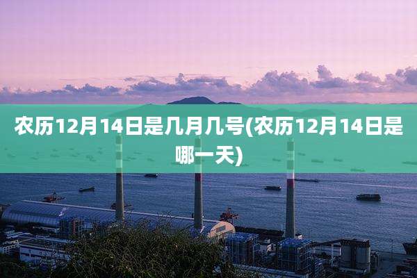 农历12月14日是几月几号(农历12月14日是哪一天)