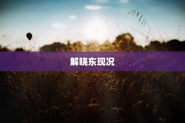 解晓东现况