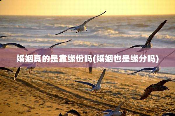婚姻真的是靠缘份吗(婚姻也是缘分吗)