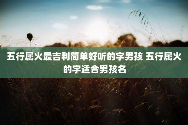 五行属火最吉利简单好听的字男孩 五行属火的字适合男孩名