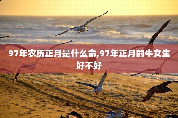 97年农历正月是什么命,97年正月的牛女生好不好