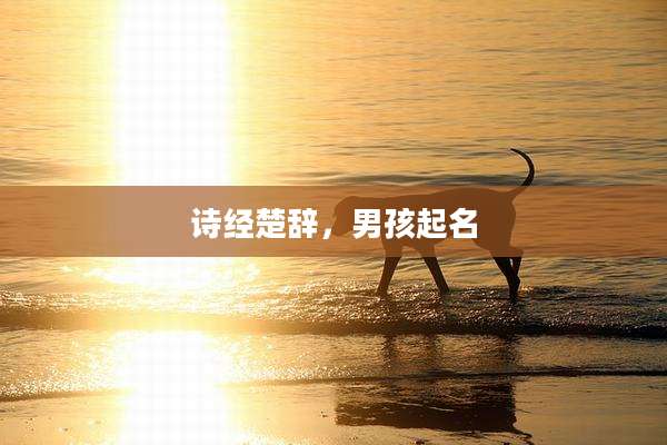 诗经楚辞，男孩起名