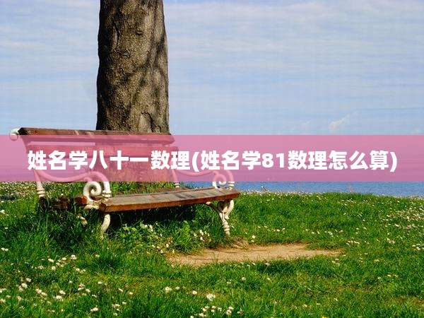 姓名学八十一数理(姓名学81数理怎么算)