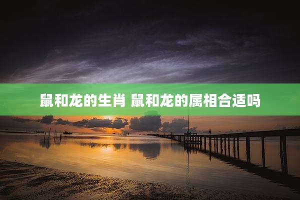 鼠和龙的生肖 鼠和龙的属相合适吗