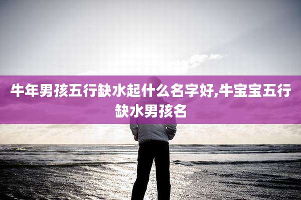 牛年男孩五行缺水起什么名字好,牛宝宝五行缺水男孩名