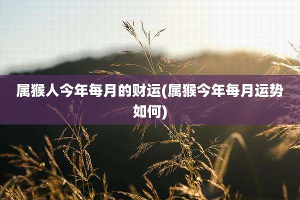 属猴人今年每月的财运(属猴今年每月运势如何)