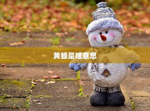 黄蜂是啥意思