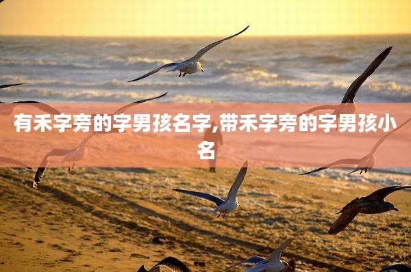 有禾字旁的字男孩名字,带禾字旁的字男孩小名