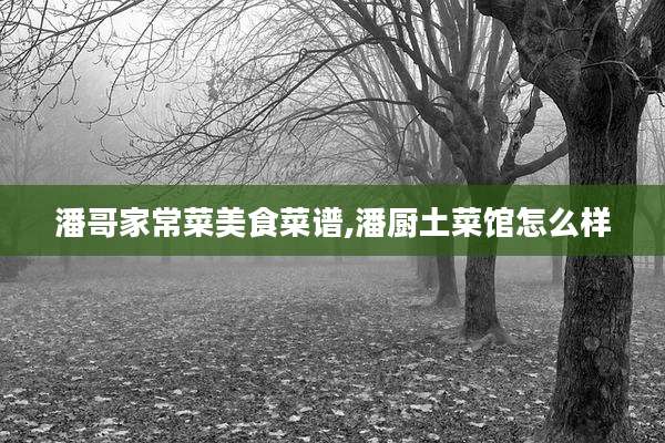 潘哥家常菜美食菜谱,潘厨土菜馆怎么样