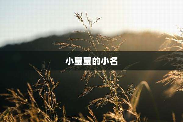 小宝宝的小名
