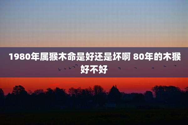1980年属猴木命是好还是坏啊 80年的木猴好不好