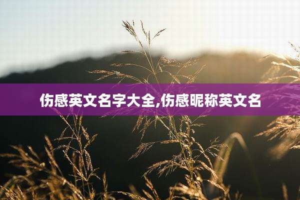 伤感英文名字大全,伤感昵称英文名