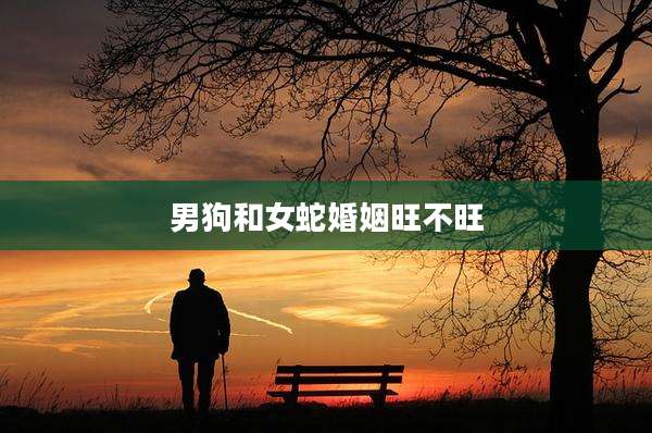 男狗和女蛇婚姻旺不旺