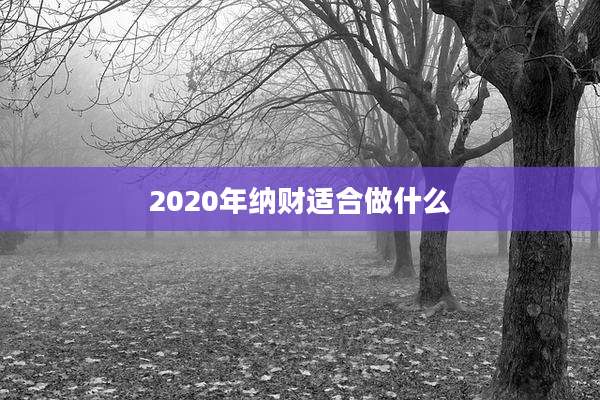 2020年纳财适合做什么