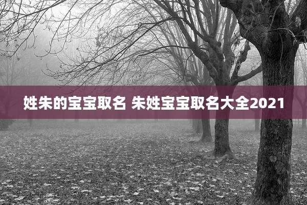 姓朱的宝宝取名 朱姓宝宝取名大全2021