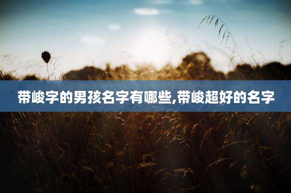 带峻字的男孩名字有哪些,带峻超好的名字