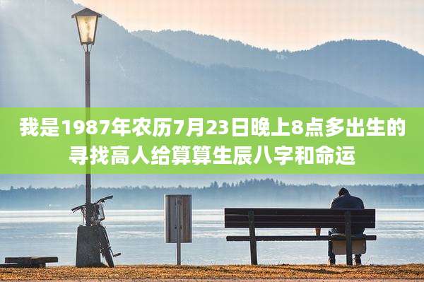我是1987年农历7月23日晚上8点多出生的寻找高人给算算生辰八字和命运