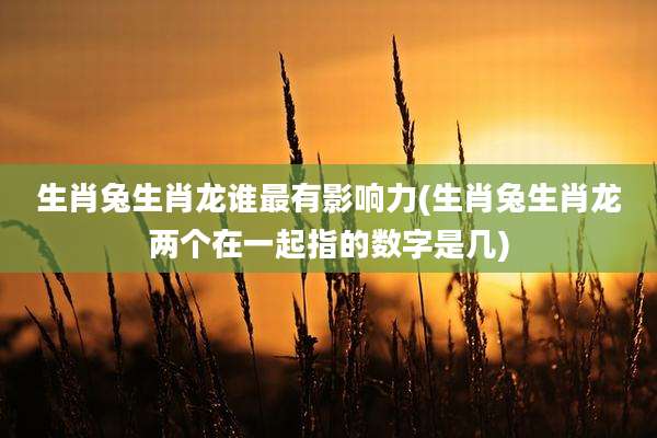 生肖兔生肖龙谁最有影响力(生肖兔生肖龙两个在一起指的数字是几)