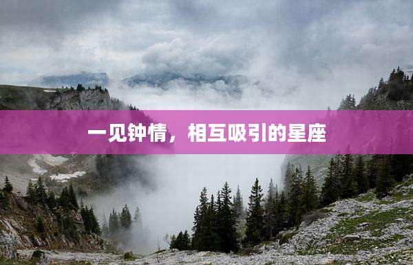 一见钟情,相互吸引的星座