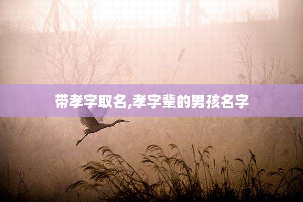 带孝字取名,孝字辈的男孩名字