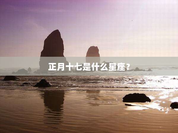 正月十七是什么星座?