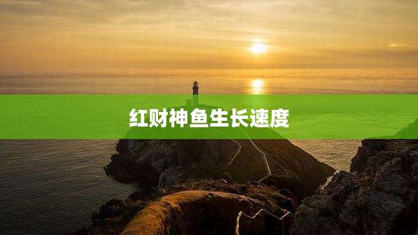 红财神鱼生长速度