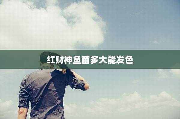 红财神鱼苗多大能发色