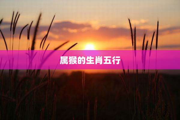 属猴的生肖五行